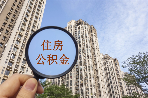 怎样查自己的公积金贷款（怎样查自己的公积金贷款信息查询）